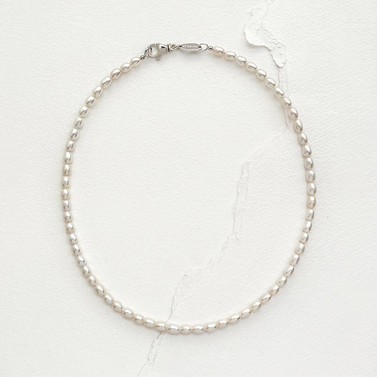 Arcenkelab Tiny Pearl Collar